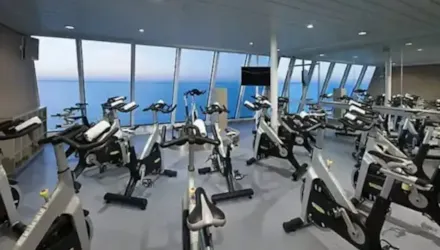 FITNESS & GYM ICON OF THE SEAS